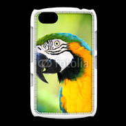 Coque BlackBerry 9720 Perroquet