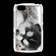 Coque BlackBerry 9720 Chiot Husky