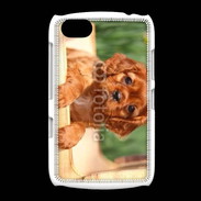 Coque BlackBerry 9720 Chiot King Charles 2