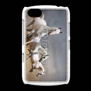 Coque BlackBerry 9720 Groupe de chevaux blancs