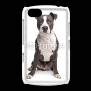 Coque BlackBerry 9720 American Staffordshire Terrier puppy