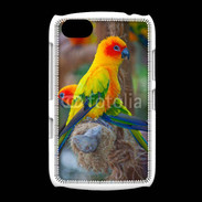 Coque BlackBerry 9720 Aratinga Solstitialis