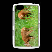 Coque BlackBerry 9720 Chevreuil PB 1