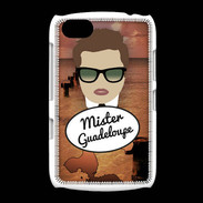 Coque BlackBerry 9720 Mister Guadeloupe Chatain