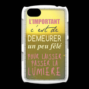 Coque BlackBerry 9720 Un peu félé ZG