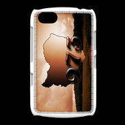 Coque BlackBerry 9720 Guyane 973