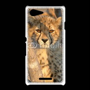 Coque Sony Xpéria E3 Jeune félin