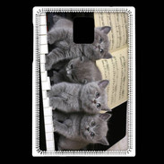 Coque Blackberry Passport Chatons musiciens