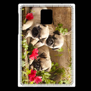 Coque Blackberry Passport Trio de chiots Carlin
