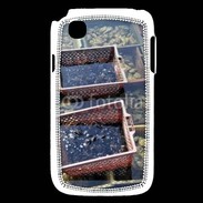 Coque LG L40 Conchyliculteur