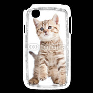 Coque LG L40 Adorable chaton 7