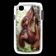 Coque LG L40 Famille de singe 50