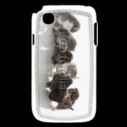 Coque LG L40 Petit chat en folie 500