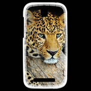 Coque HTC One SV portrait d'un léopard 50