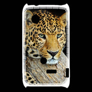 Coque Sony Xperia Typo portrait d'un léopard 50