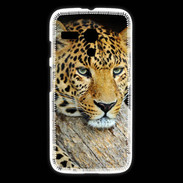 Coque Motorola G portrait d'un léopard 50