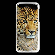 Coque iPhone 5C portrait d'un léopard 50