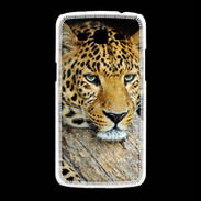 Coque Samsung Galaxy Grand2 portrait d'un léopard 50
