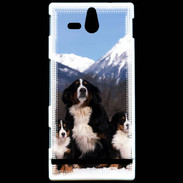 Coque Sony Xperia U Bouvier Bernois