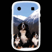 Coque Blackberry Bold 9900 Bouvier Bernois