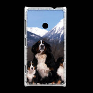 Coque Nokia Lumia 520 Bouvier Bernois