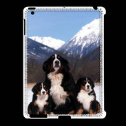 Coque iPad 2/3 Bouvier Bernois