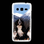 Coque Samsung Galaxy Express2 Bouvier Bernois