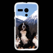 Coque Motorola G Bouvier Bernois