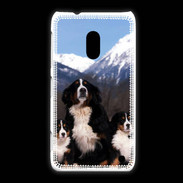 Coque Nokia Lumia 620 Bouvier Bernois