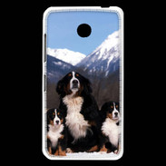 Coque Nokia Lumia 630 Bouvier Bernois