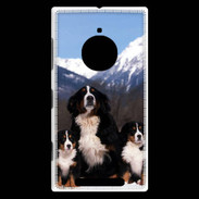 Coque Nokia Lumia 830 Bouvier Bernois