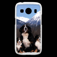 Coque Samsung Galaxy Ace4 Bouvier Bernois