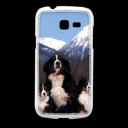 Coque Samsung Galaxy Fresh Bouvier Bernois
