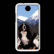 Coque HTC Desire 300 Bouvier Bernois