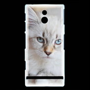 Coque Sony Xperia P Chaton aux yeux bleus