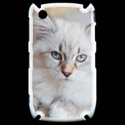 Coque Blackberry 8520 Chaton aux yeux bleus