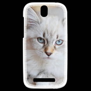 Coque HTC One SV Chaton aux yeux bleus