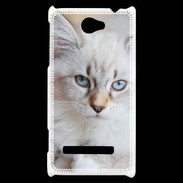 Coque HTC Windows Phone 8S Chaton aux yeux bleus