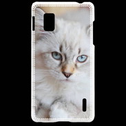 Coque LG Optimus G Chaton aux yeux bleus