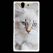 Coque Sony Xperia Z Chaton aux yeux bleus