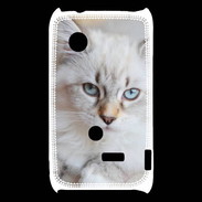 Coque Sony Xperia Typo Chaton aux yeux bleus