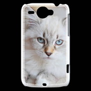 Coque HTC Wildfire G8 Chaton aux yeux bleus