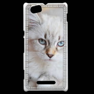 Coque Sony Xperia M Chaton aux yeux bleus