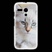 Coque Motorola G Chaton aux yeux bleus