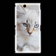 Coque Sony Xpéria Z Ultra Chaton aux yeux bleus