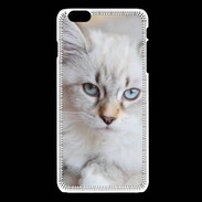 Coque iPhone 6Plus / 6Splus Chaton aux yeux bleus