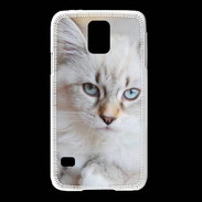 Coque Samsung Galaxy S5 Chaton aux yeux bleus