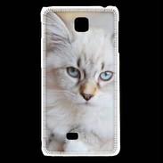 Coque LG F5 Chaton aux yeux bleus