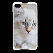 Coque Blackberry Z30 Chaton aux yeux bleus