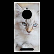 Coque Nokia Lumia 830 Chaton aux yeux bleus